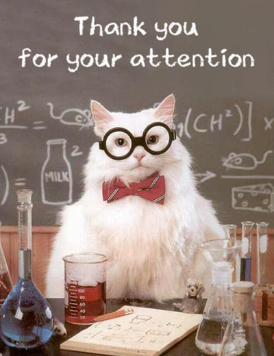 Scientist cat meme template with text: Thank you for your attention.